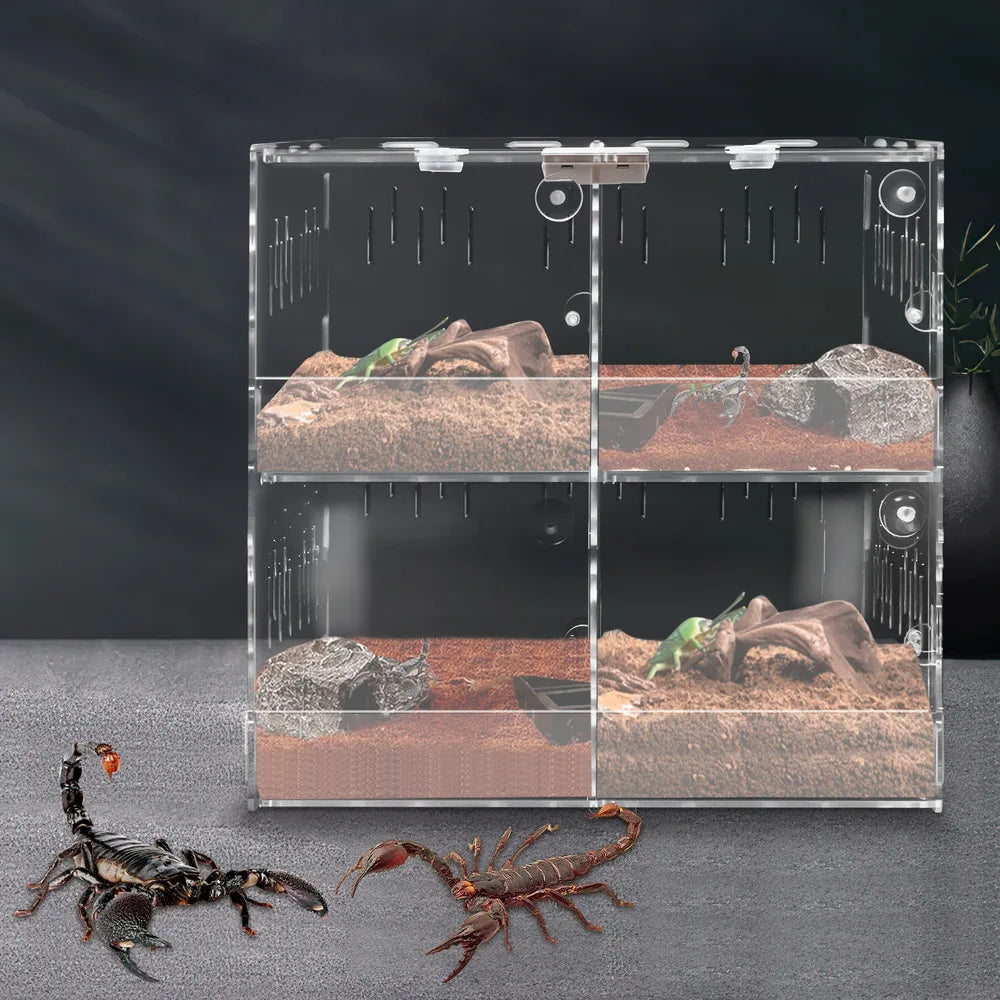 4-grid Clear Acrylic Reptile Terrariums