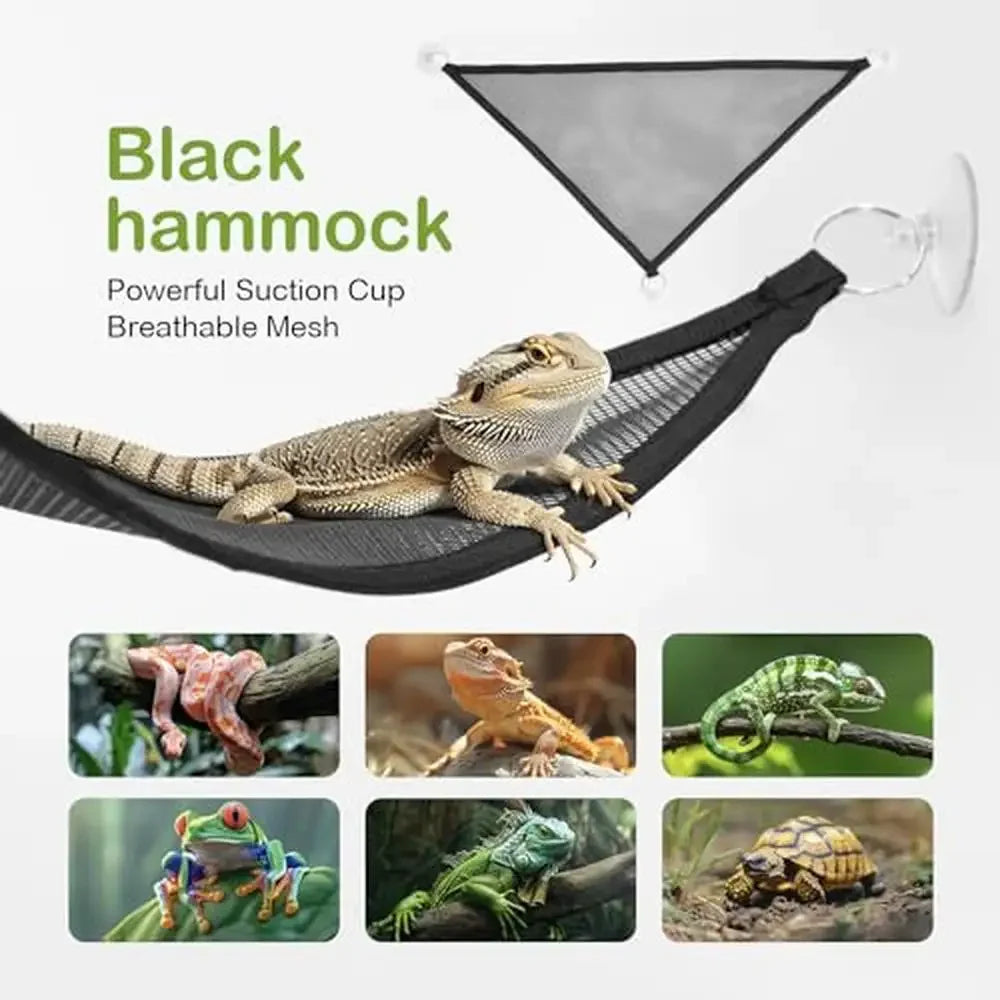Reptile Terrarium Kit