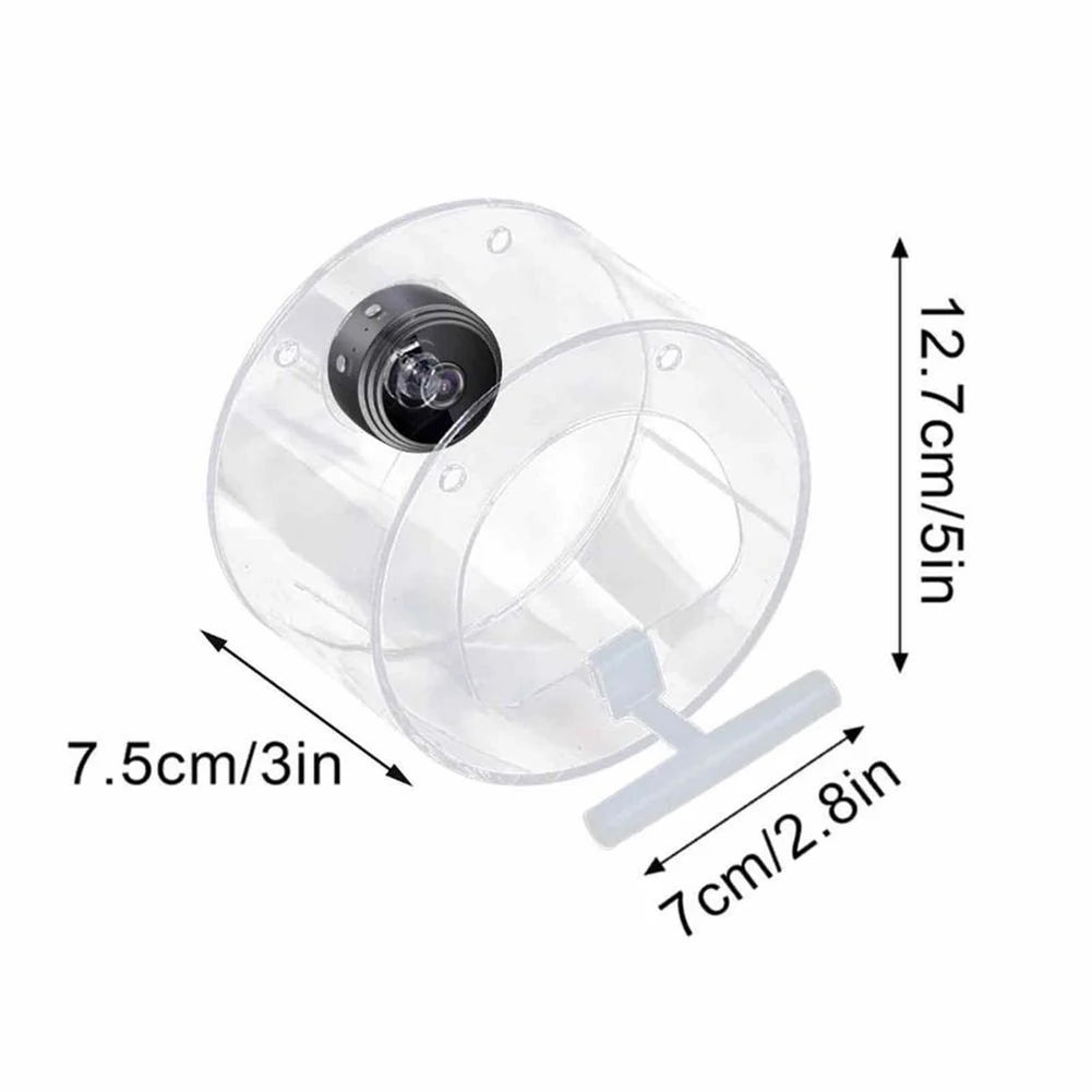 Camera Bird Feeder