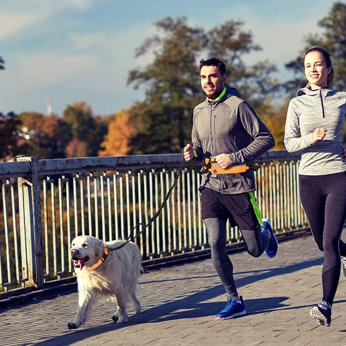 Hands Free Dog Leash for Running or Walking