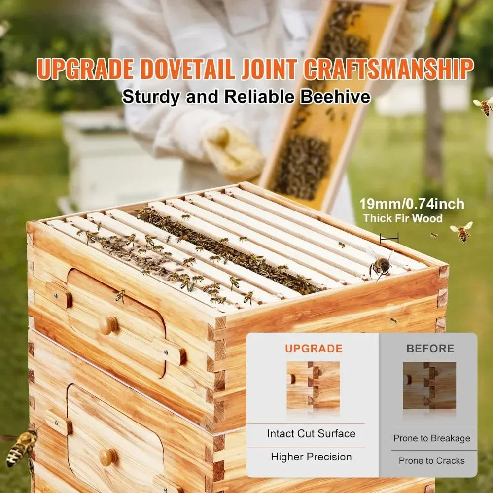 10 Frame Bee Hive