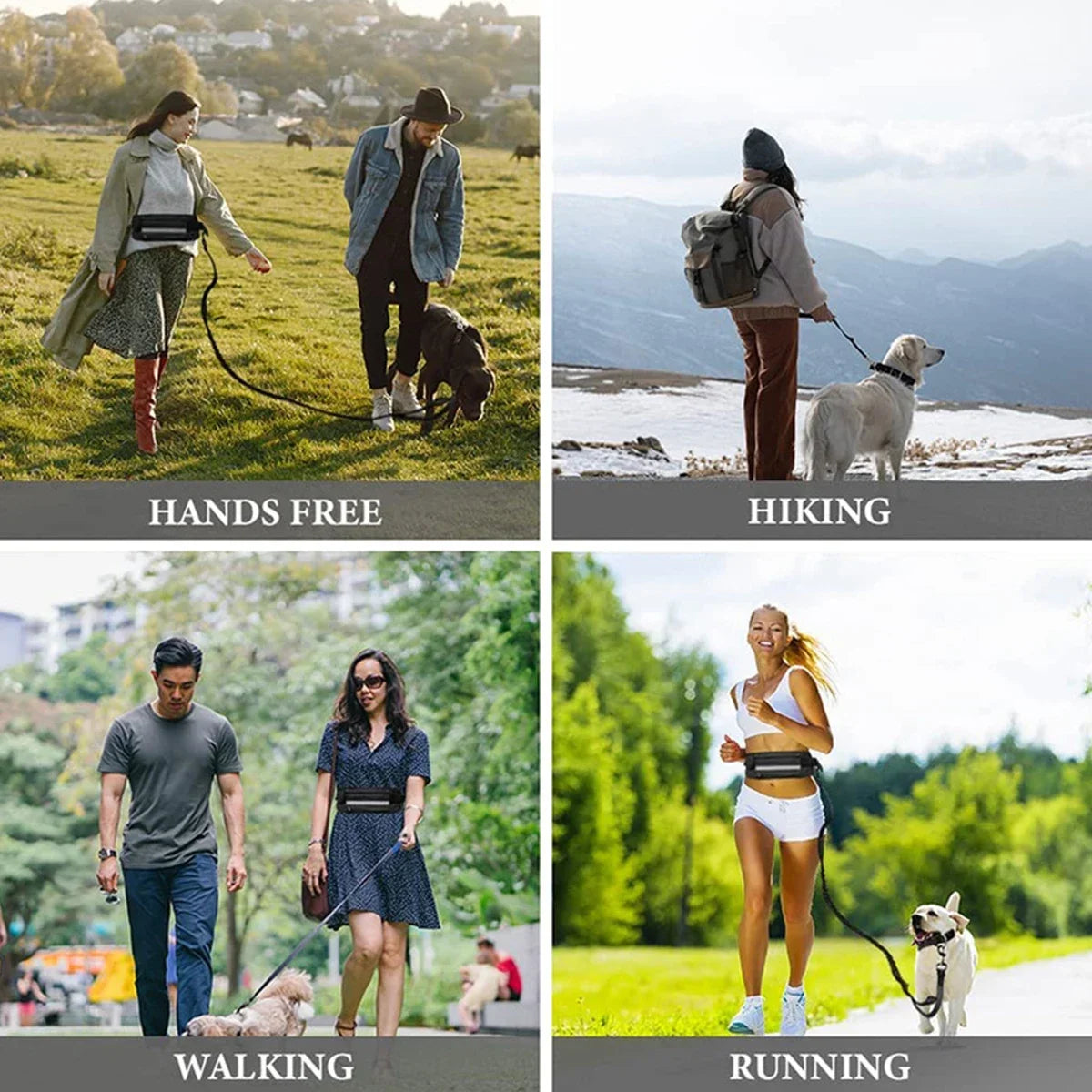 Hands Free Dog Leash for Running or Walking