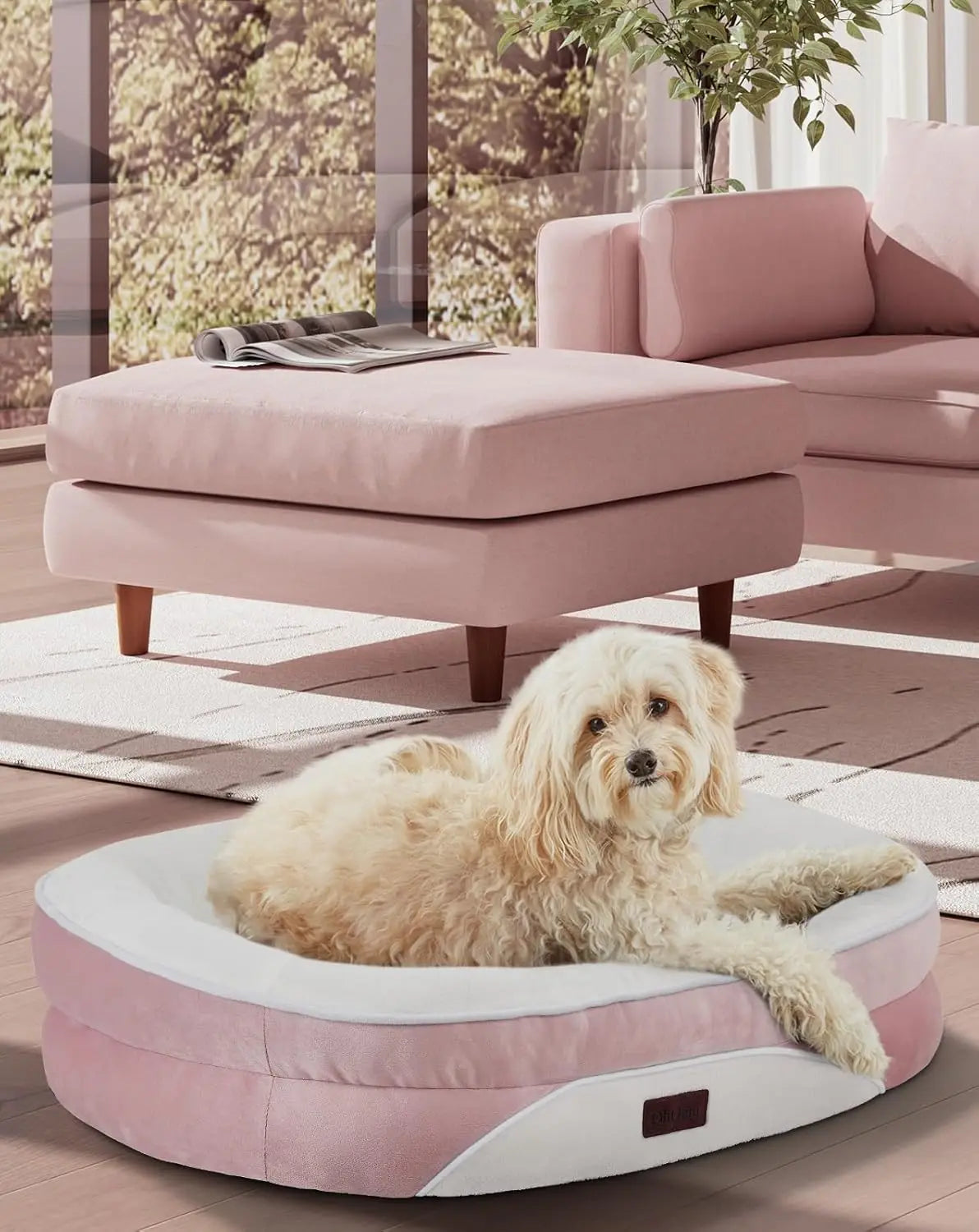 Orthopedic Bed