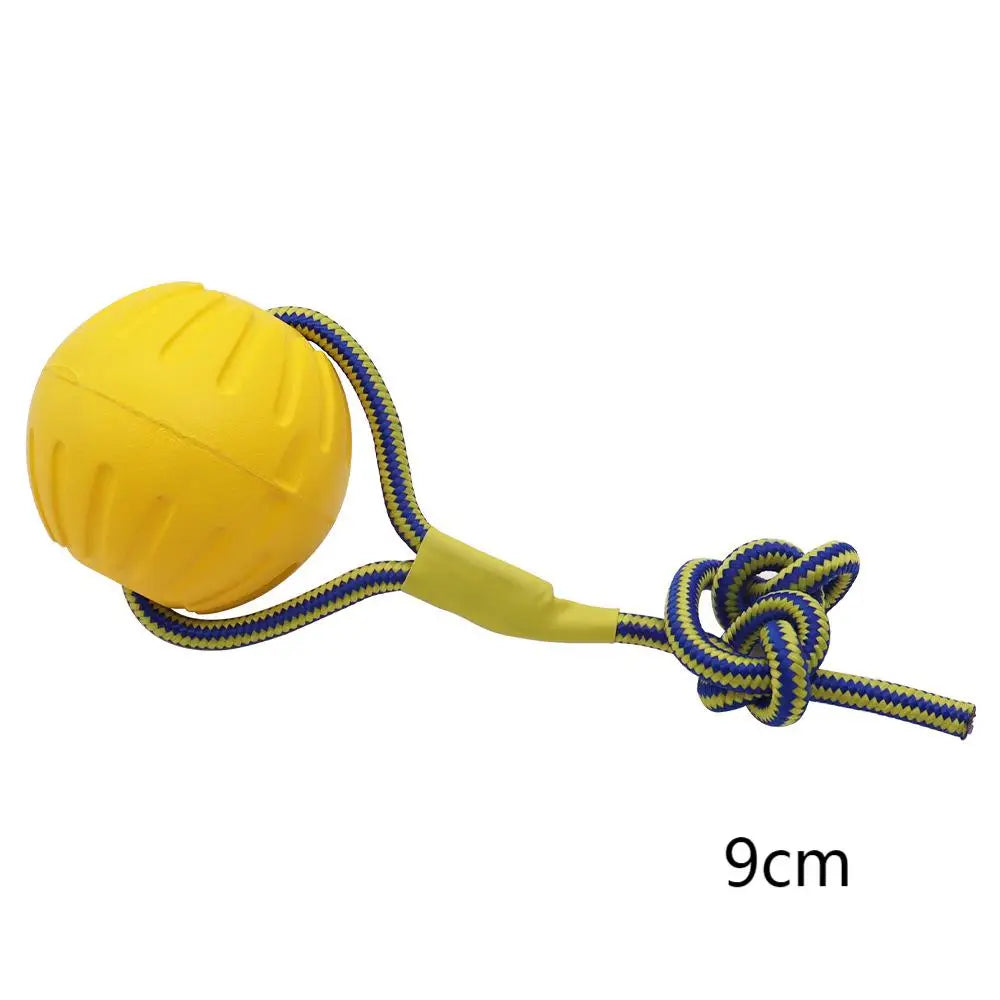 Dog Ring Frisbeed Toys