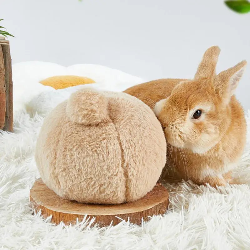 Stuffed Indoor Chew Toys