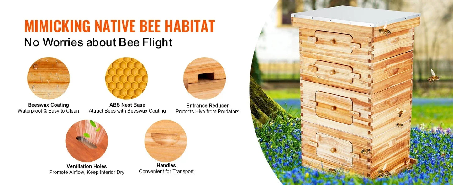 10 Frame Bee Hive
