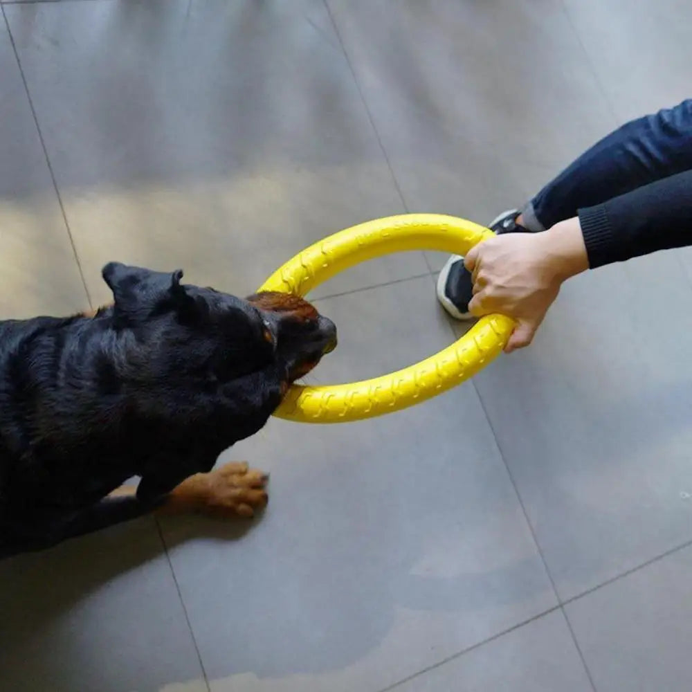 Dog Ring Frisbeed Toys