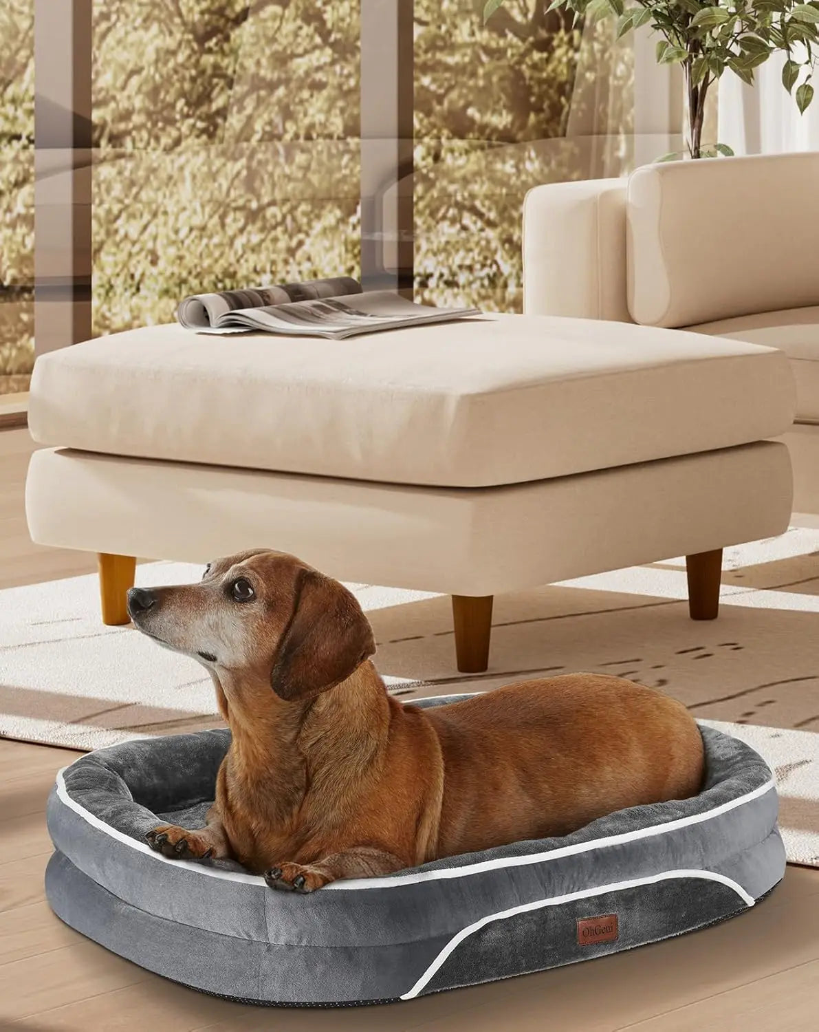 Orthopedic Bed