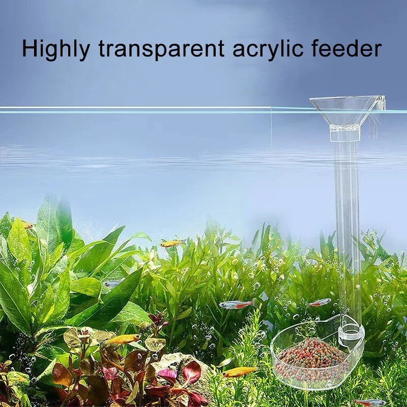 Acrylic Aquarium Fish Feeder