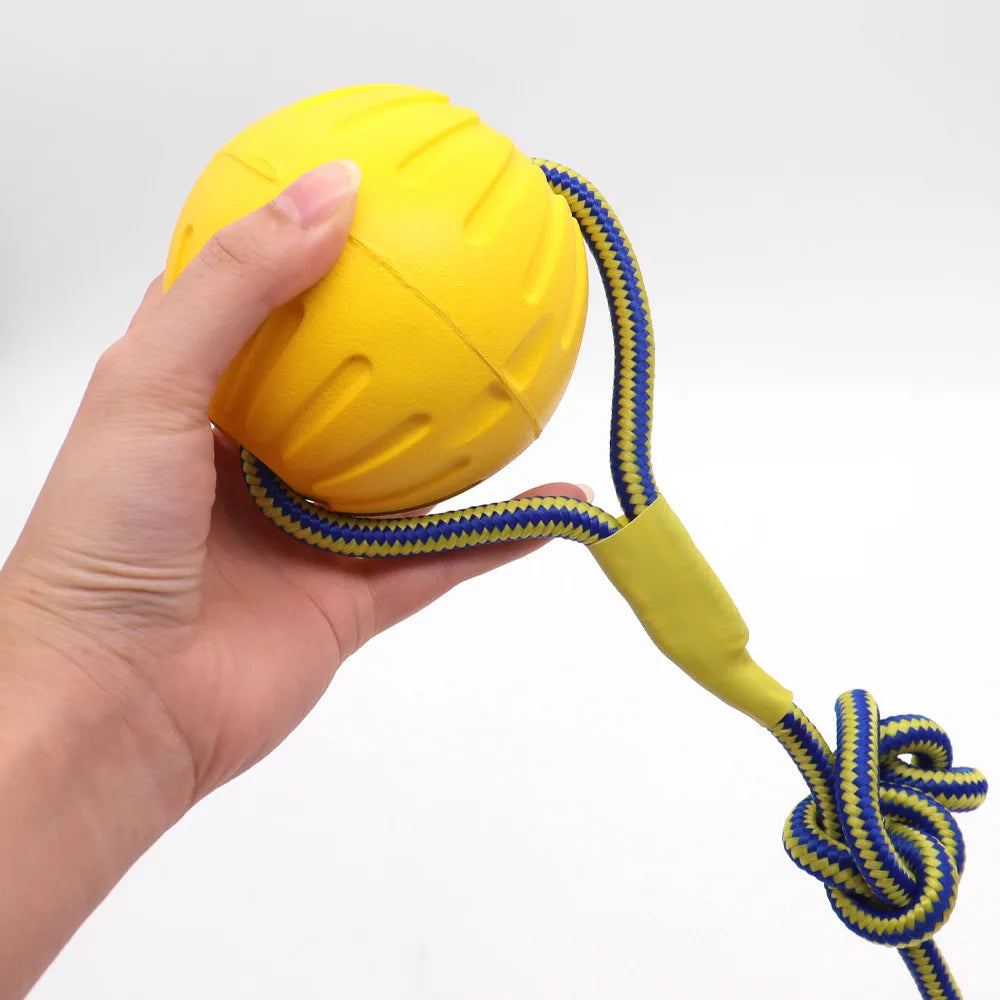 Dog Ring Frisbeed Toys