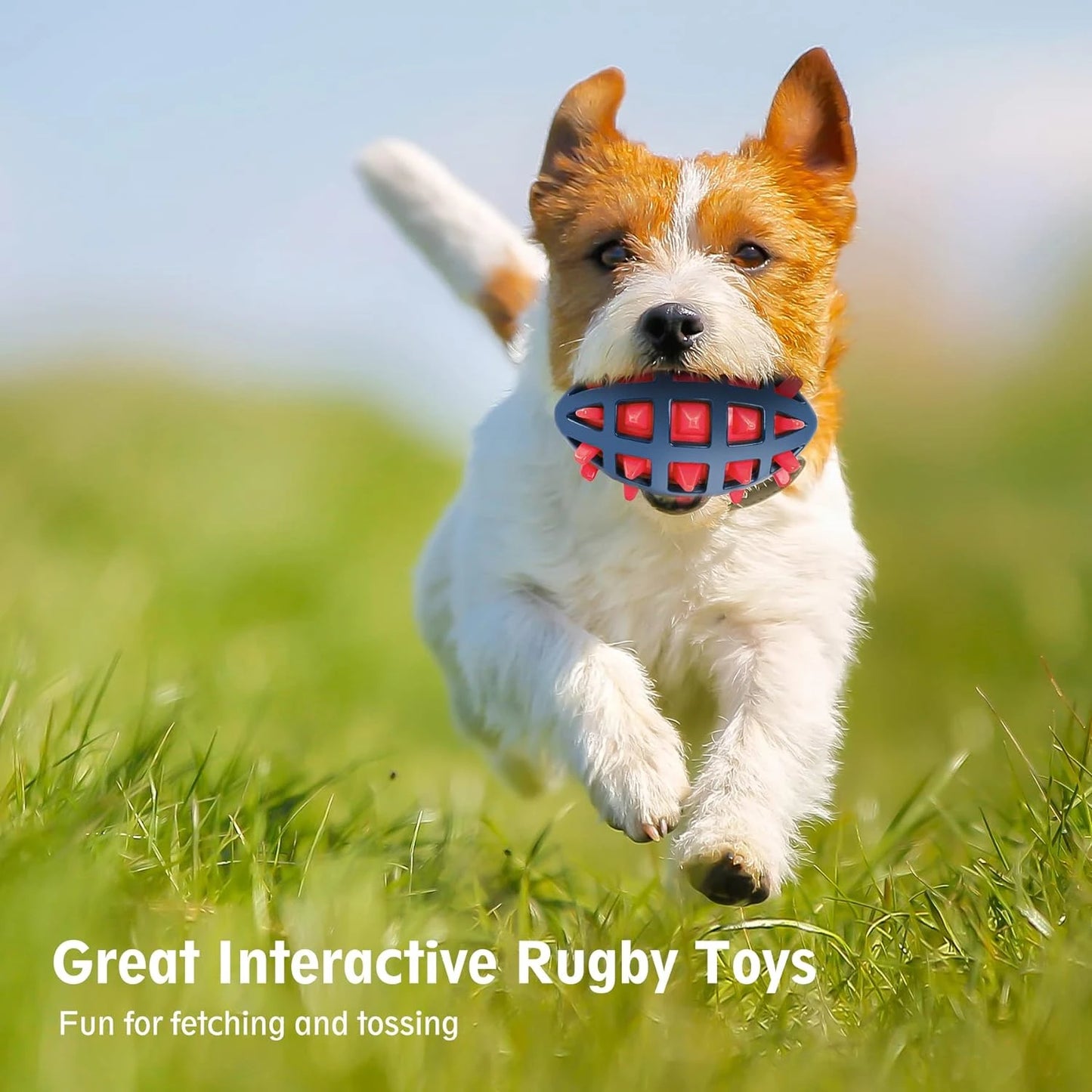 Interactive Fetch Toy for Your Furry Friend