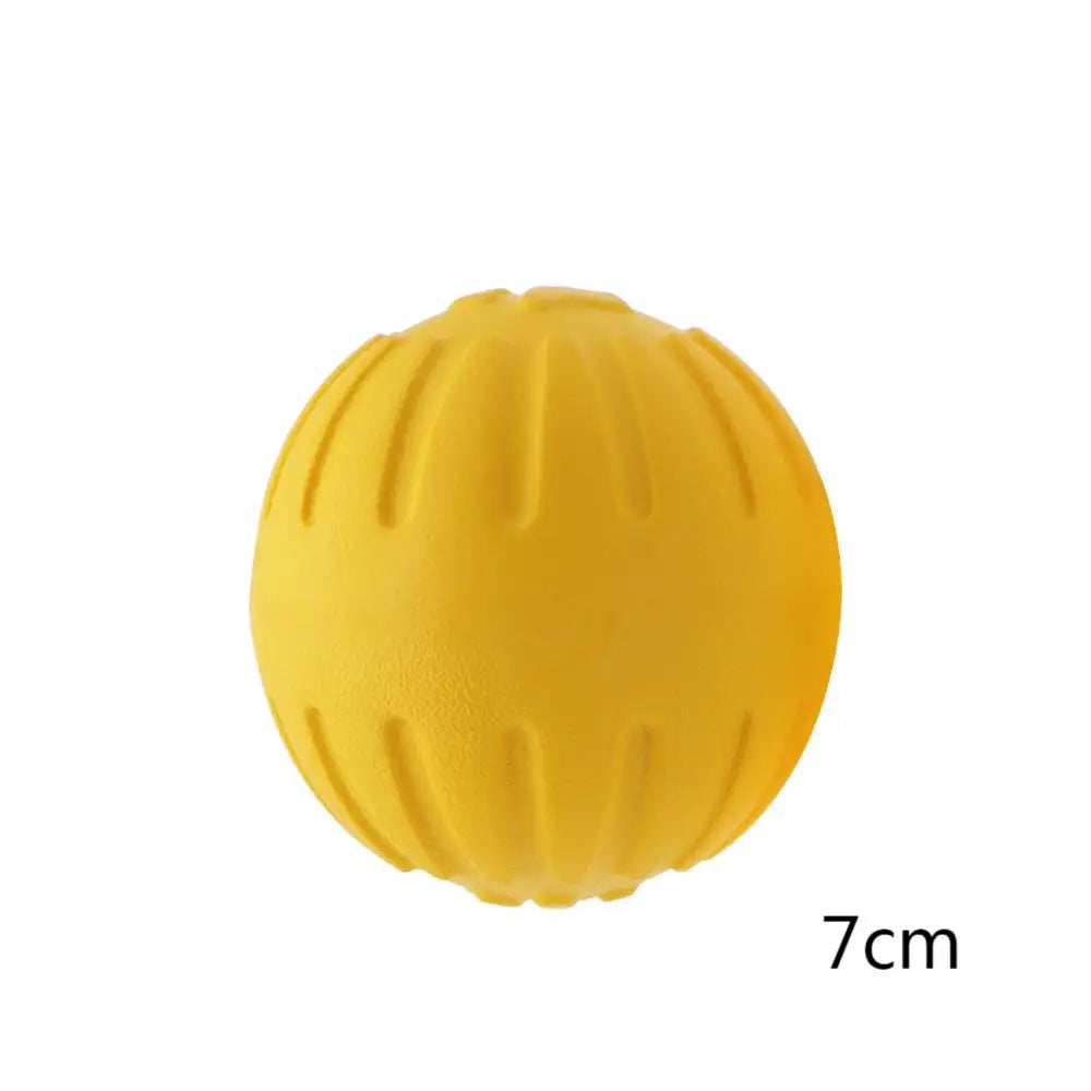 Dog Ring Frisbeed Toys