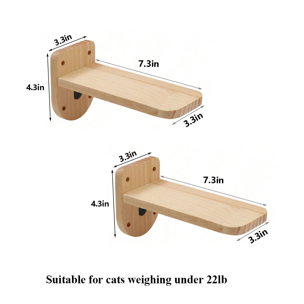 Cat Shelf Wall