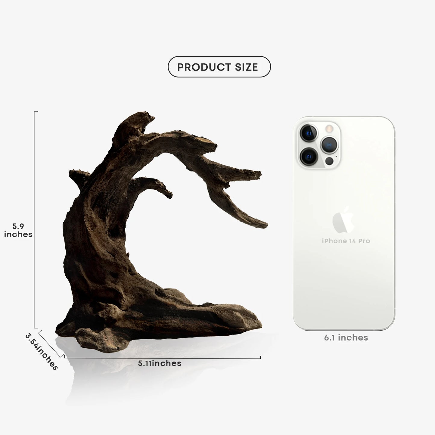 Driftwood Aquarium Model
