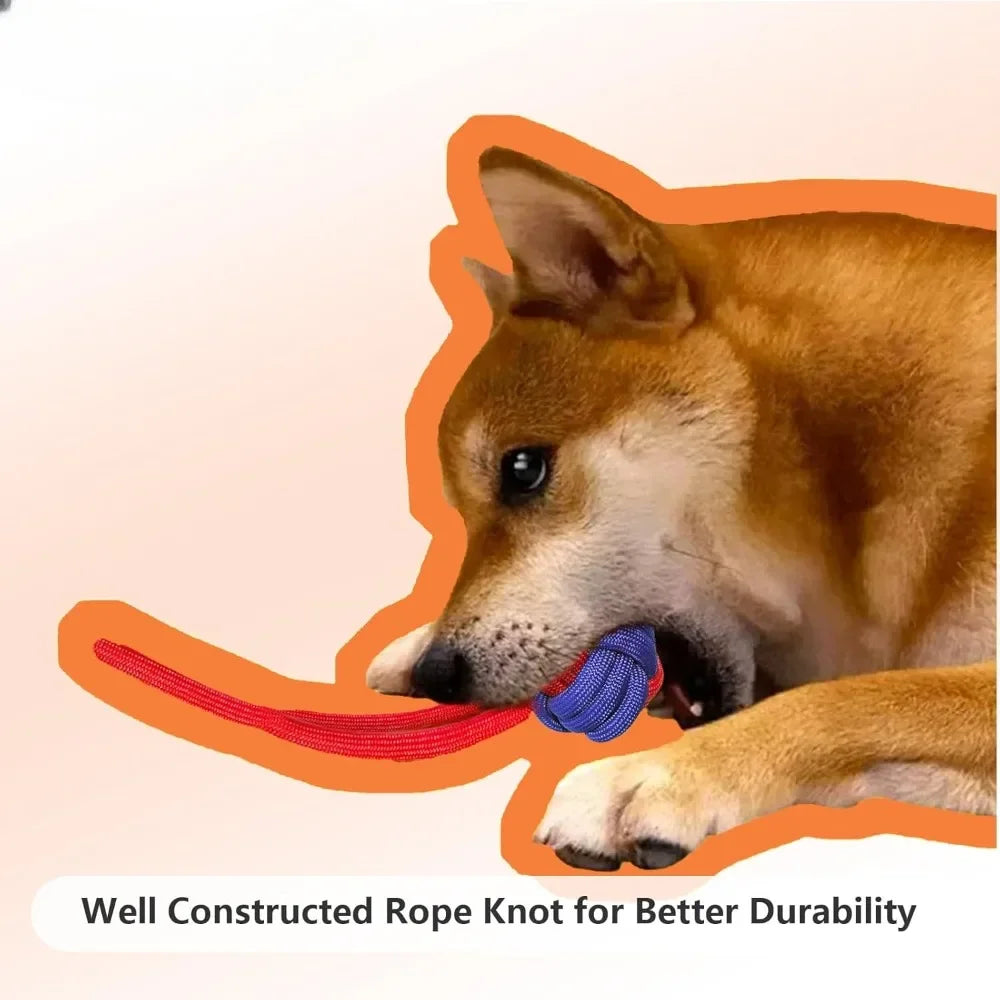 Dog Toys for Aggressive Chewers