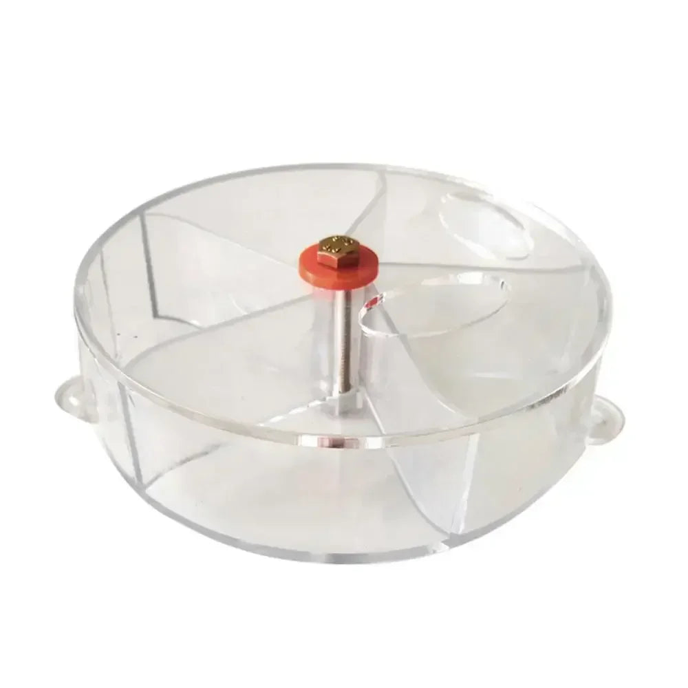 Foraging Food Box for Birds