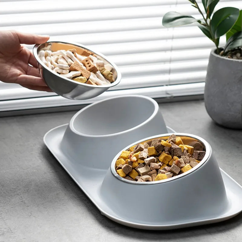 Stainless Steel Double Bowl