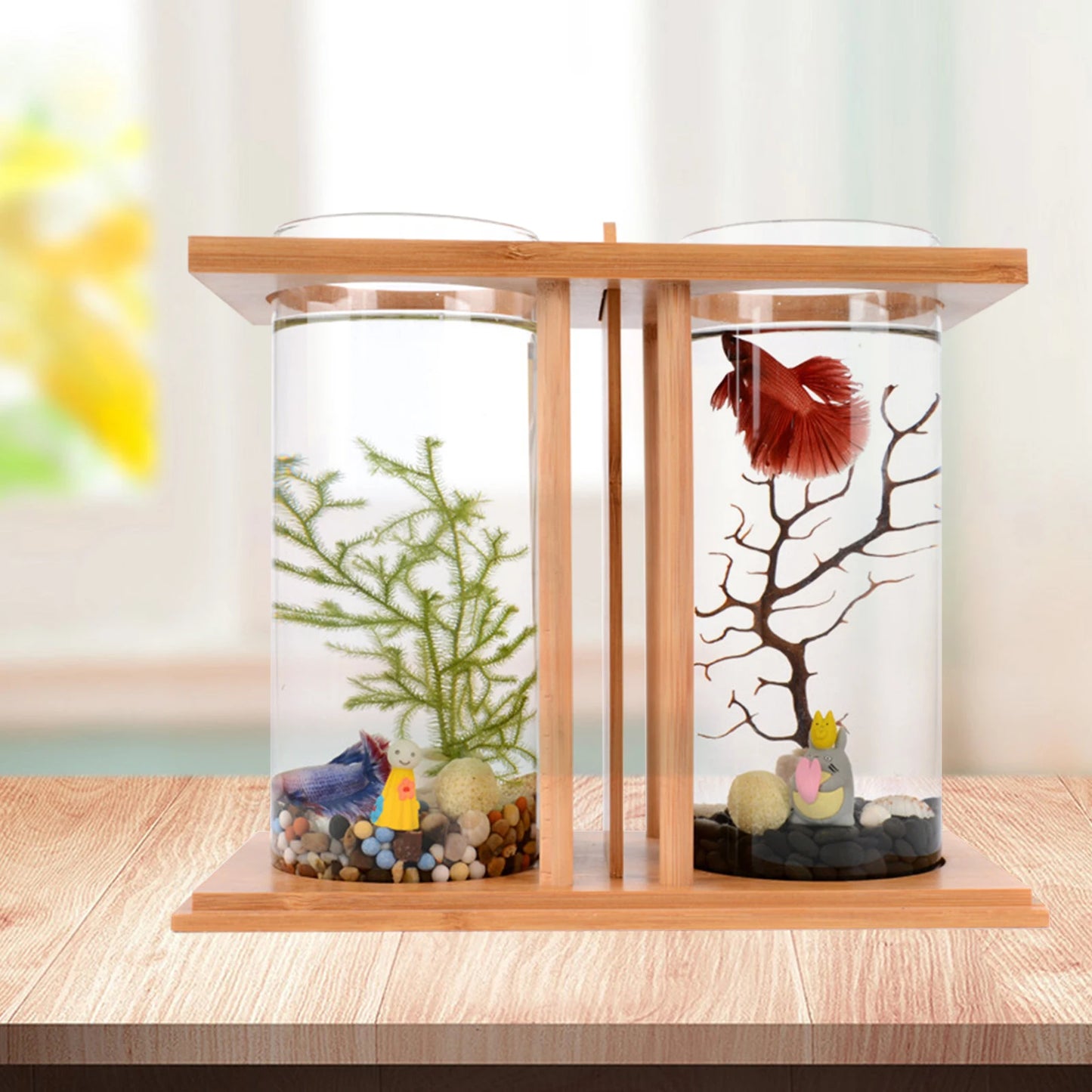 Mini Fish Tank