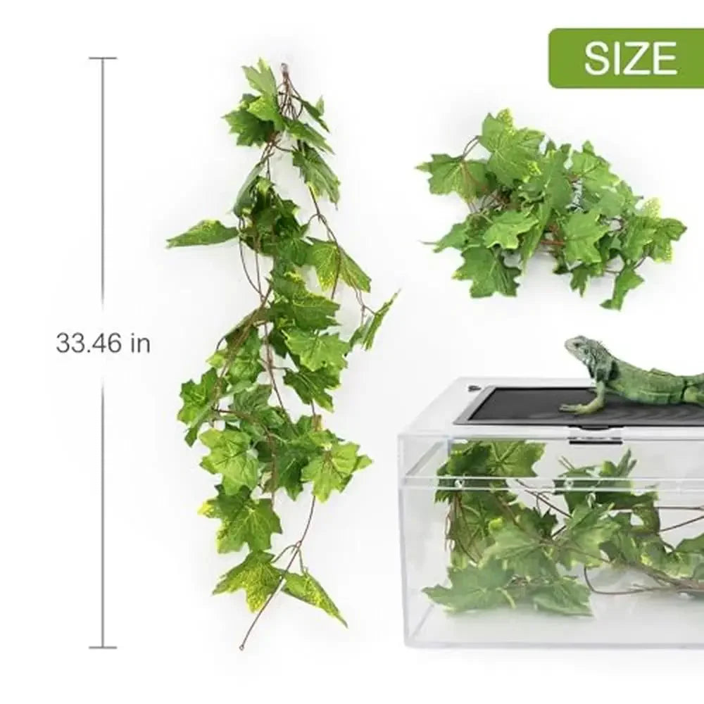 Reptile Terrarium Kit