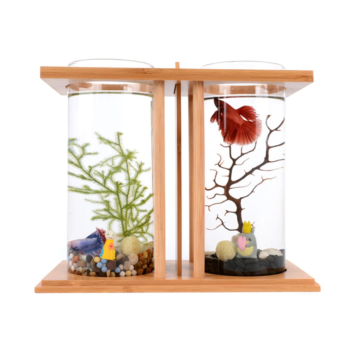 Mini Fish Tank