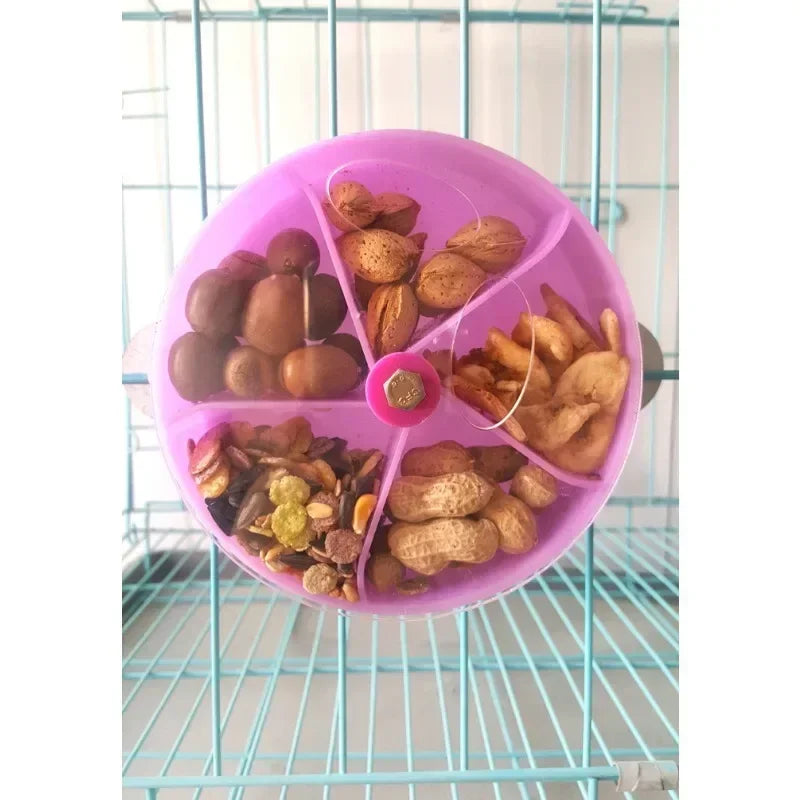 Foraging Food Box for Birds