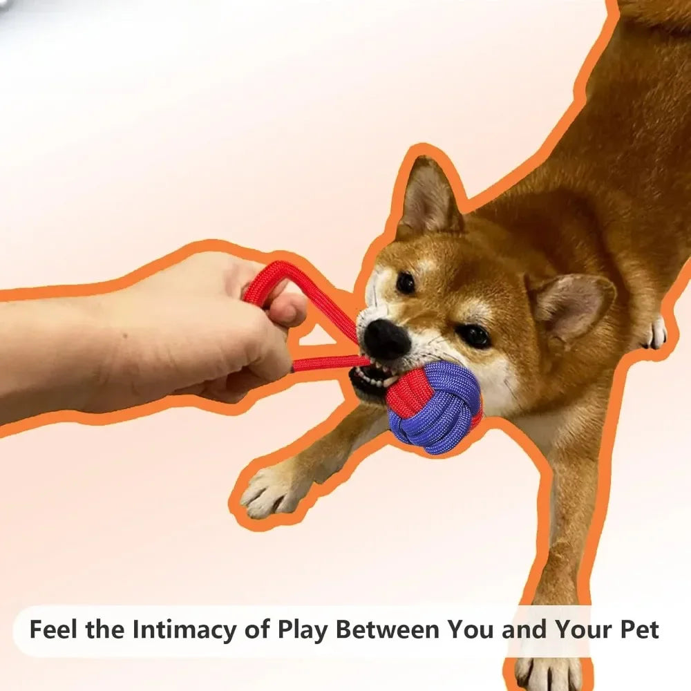 Dog Toys for Aggressive Chewers