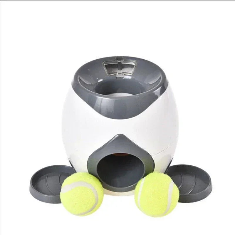 Interactive Ball Launcher