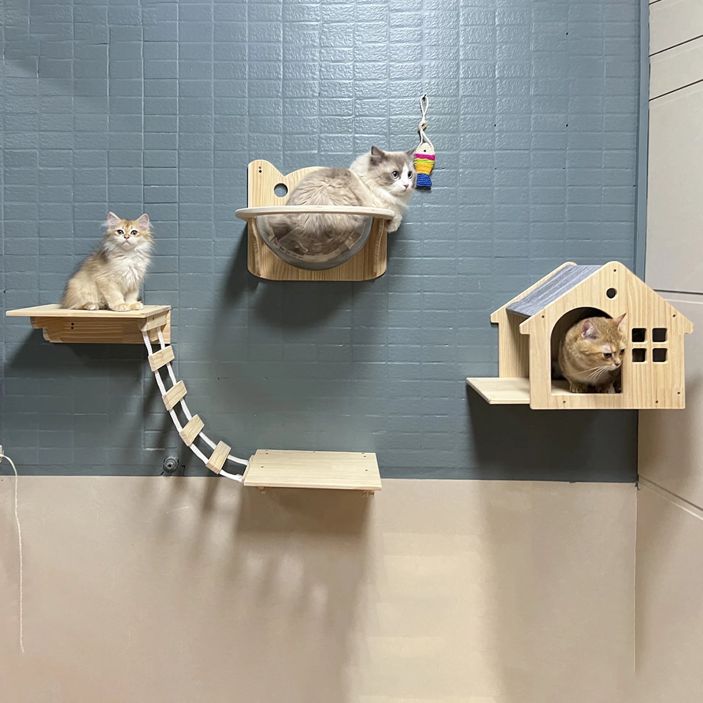 Wall Mounted Cat Condo