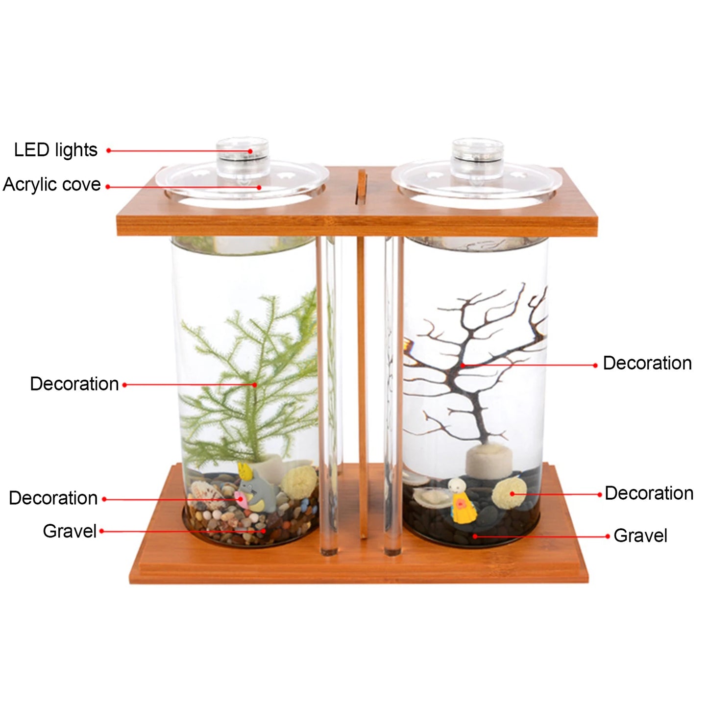 Mini Fish Tank