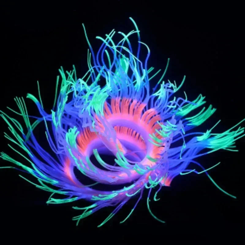 Aquarium Luminous Sea Anemone