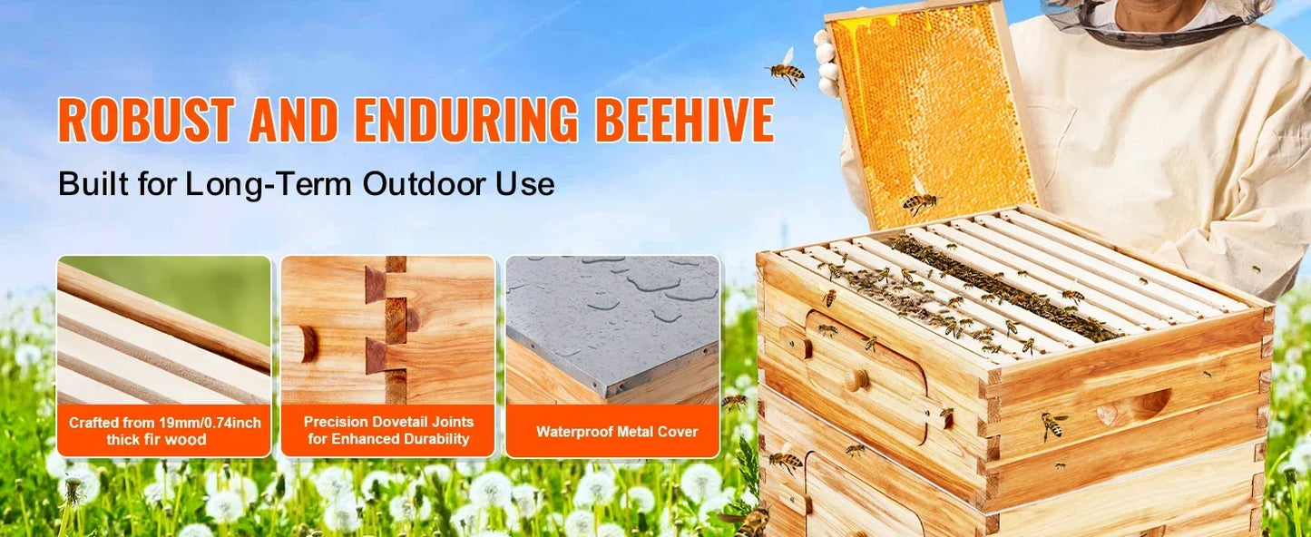 10 Frame Bee Hive