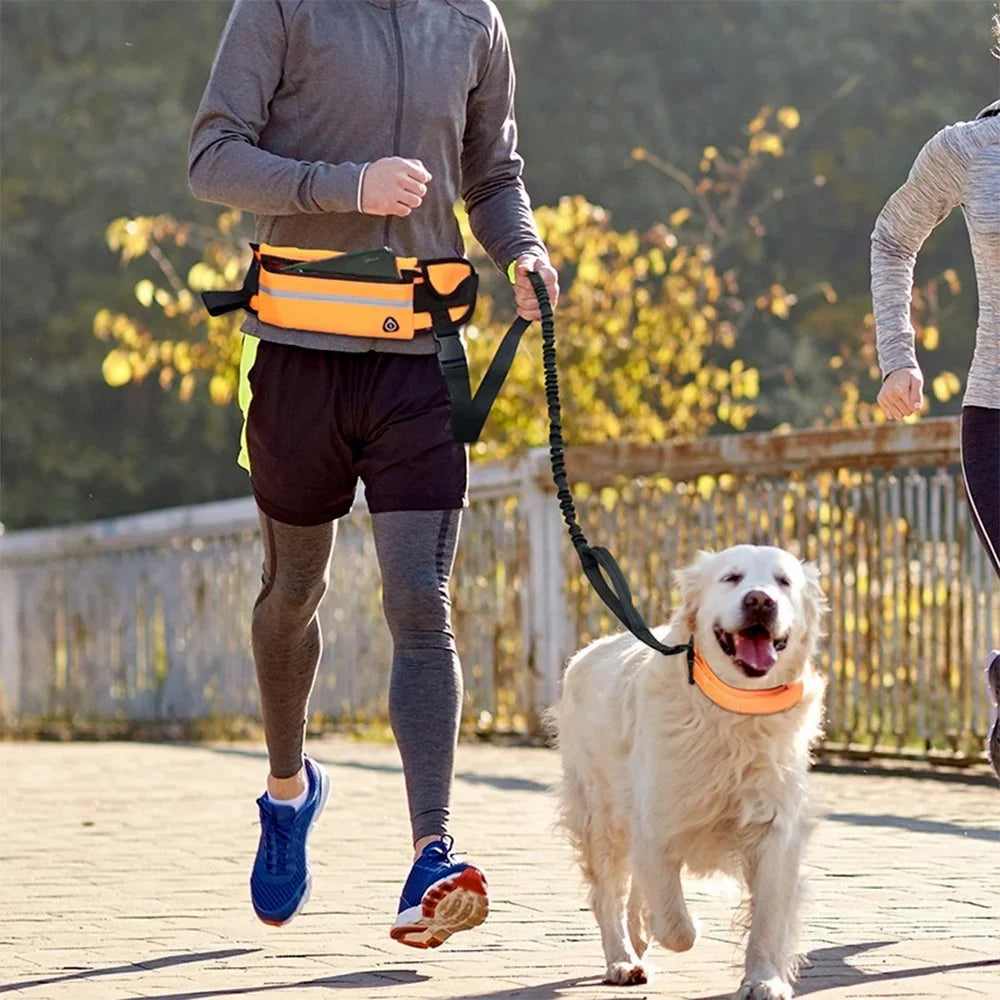 Hands Free Dog Leash for Running or Walking