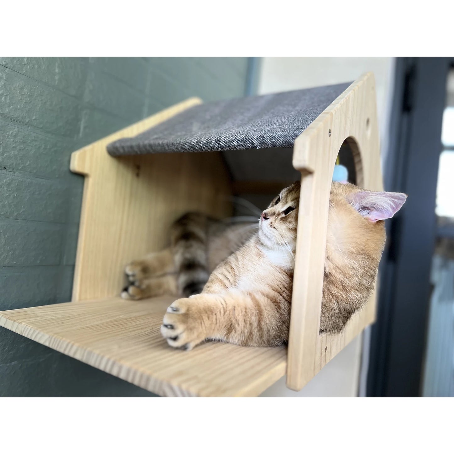 Wall Mounted Cat Condo