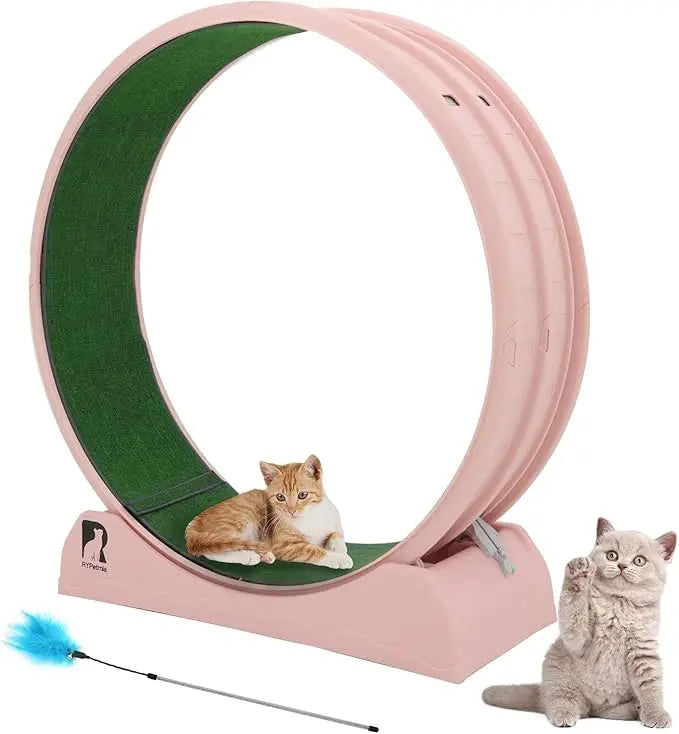 Cat Exercise Wheel