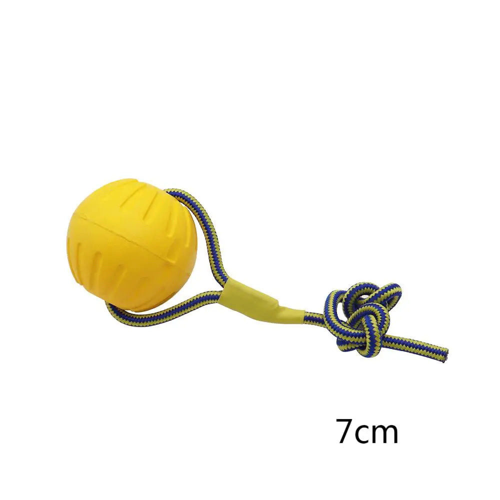 Dog Ring Frisbeed Toys