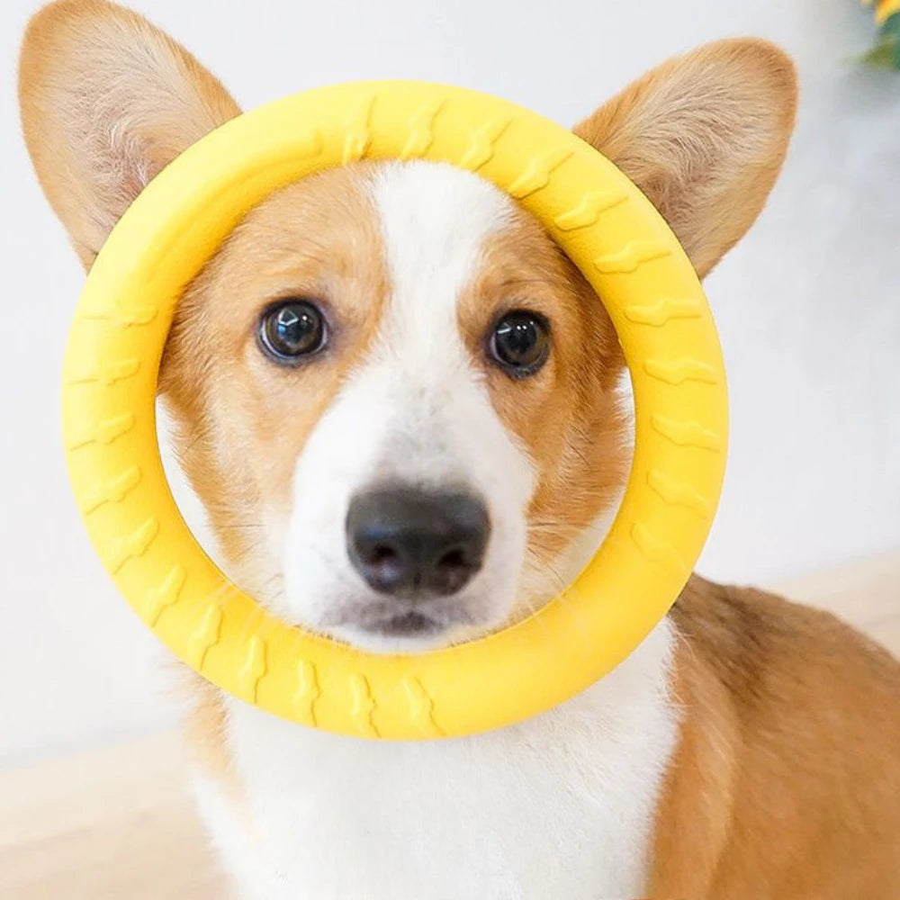 Dog Ring Frisbeed Toys