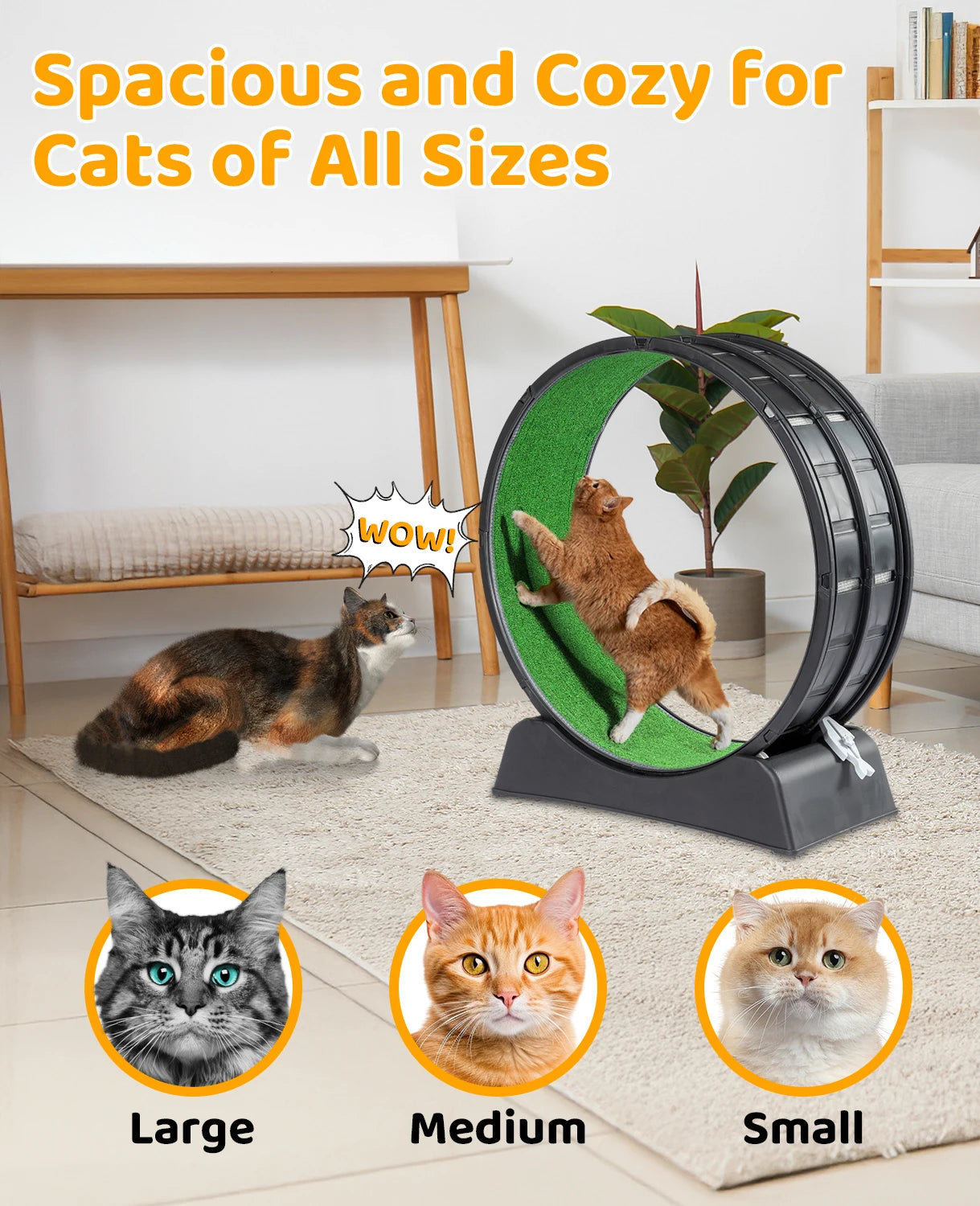 Cat Treadmill with Carpeted Runway