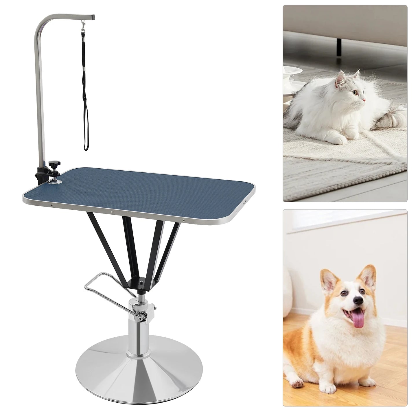 Hydraulically Lifting Animal Grooming Table