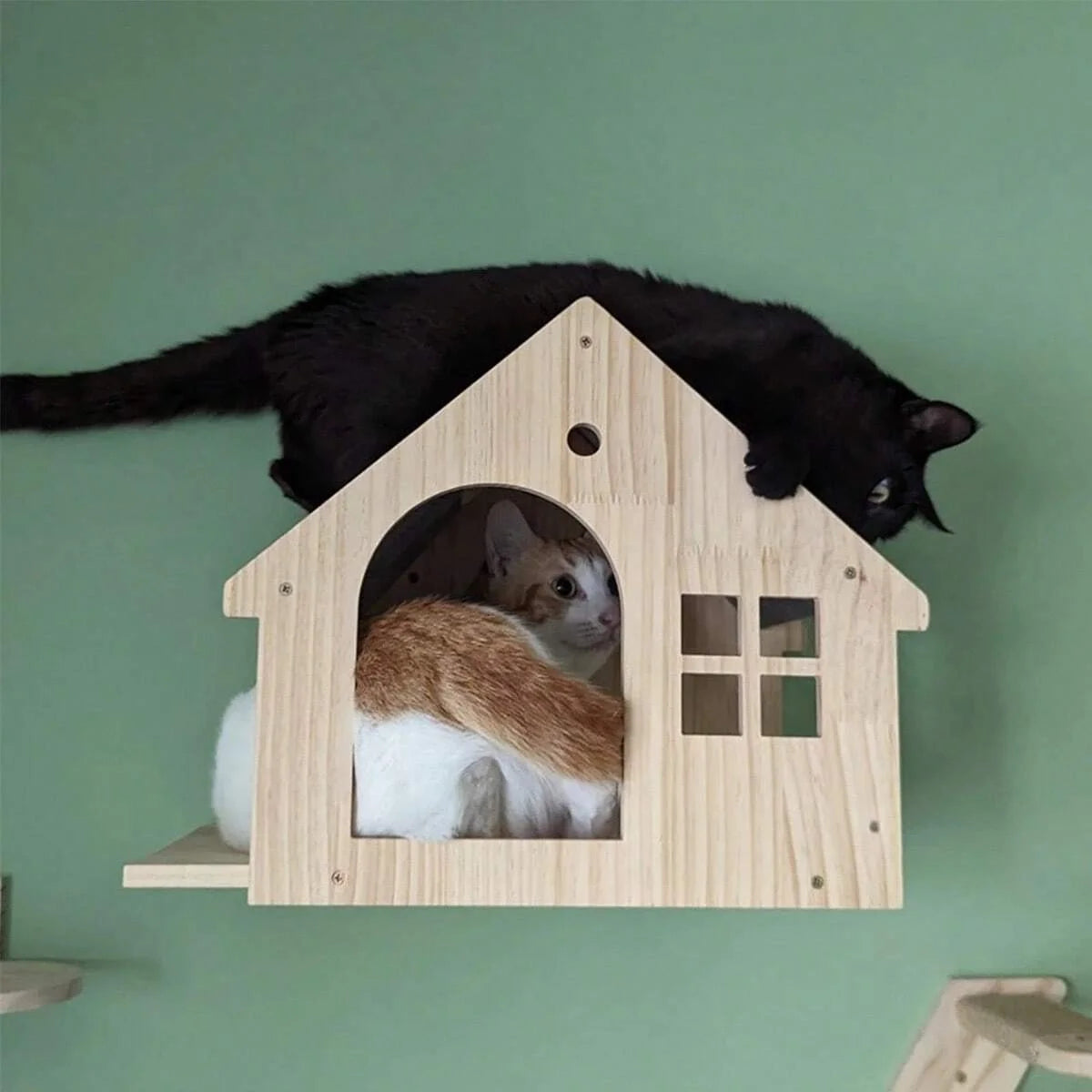 Wall Mounted Cat Condo