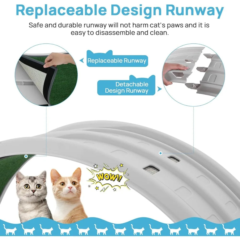 Cat Exercise Wheel