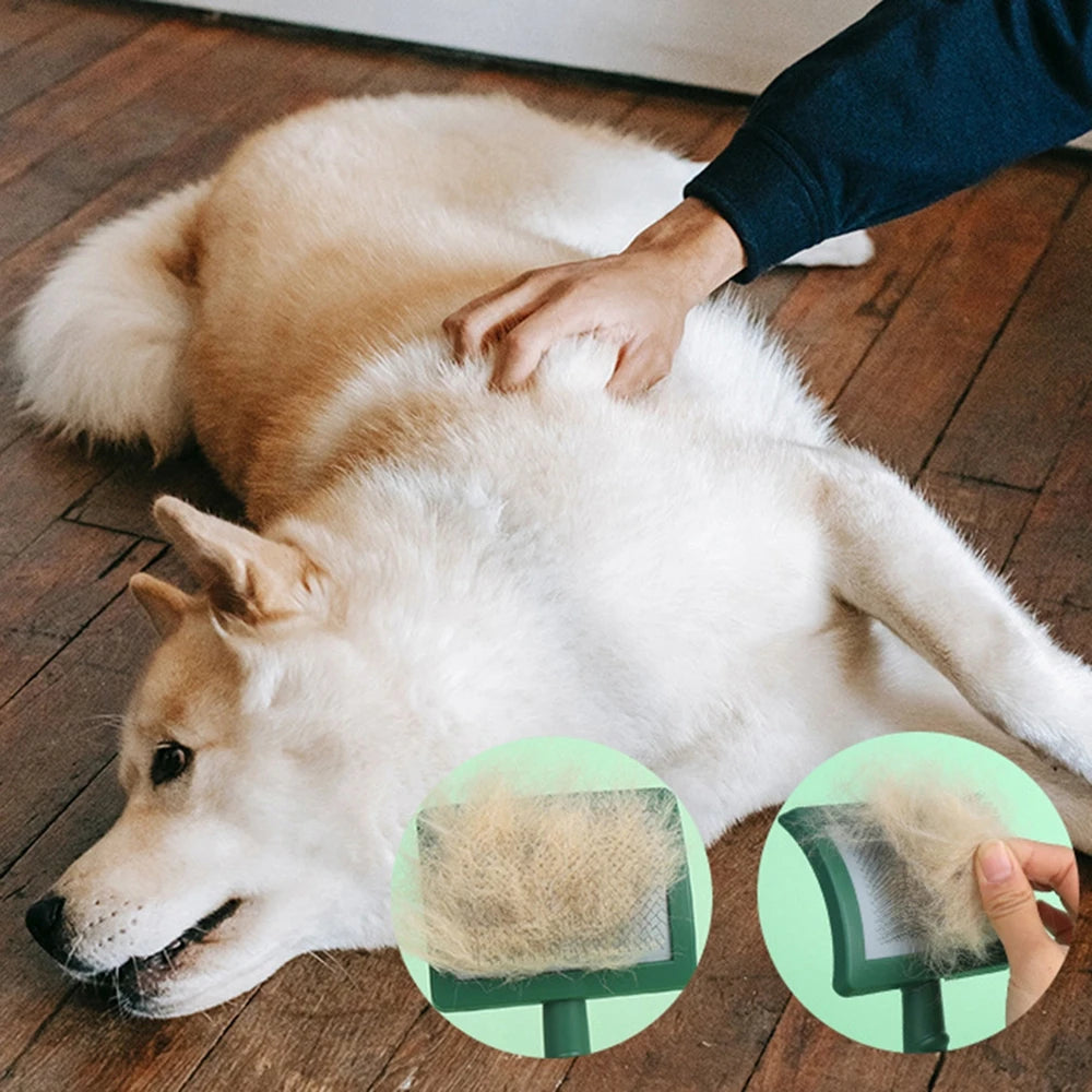 Slicker Brush for Large Dog Grooming