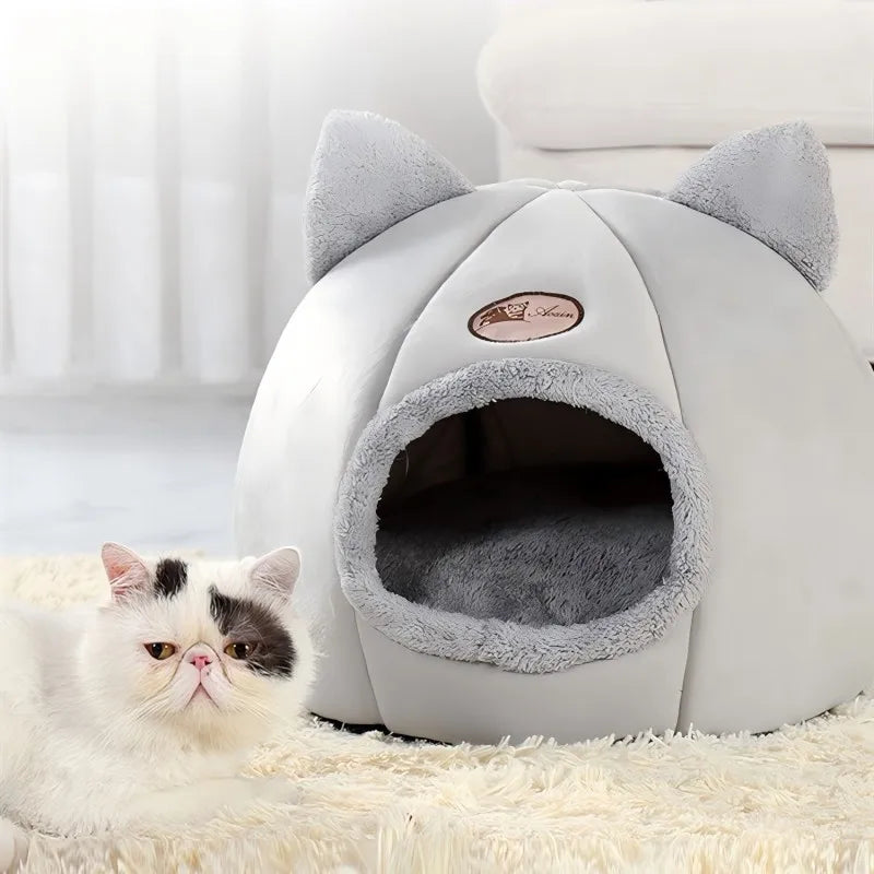 Cat bed