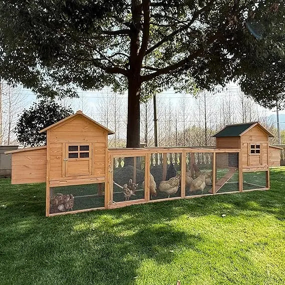 Outdoor Chicken Coop for 4-8 Chickens