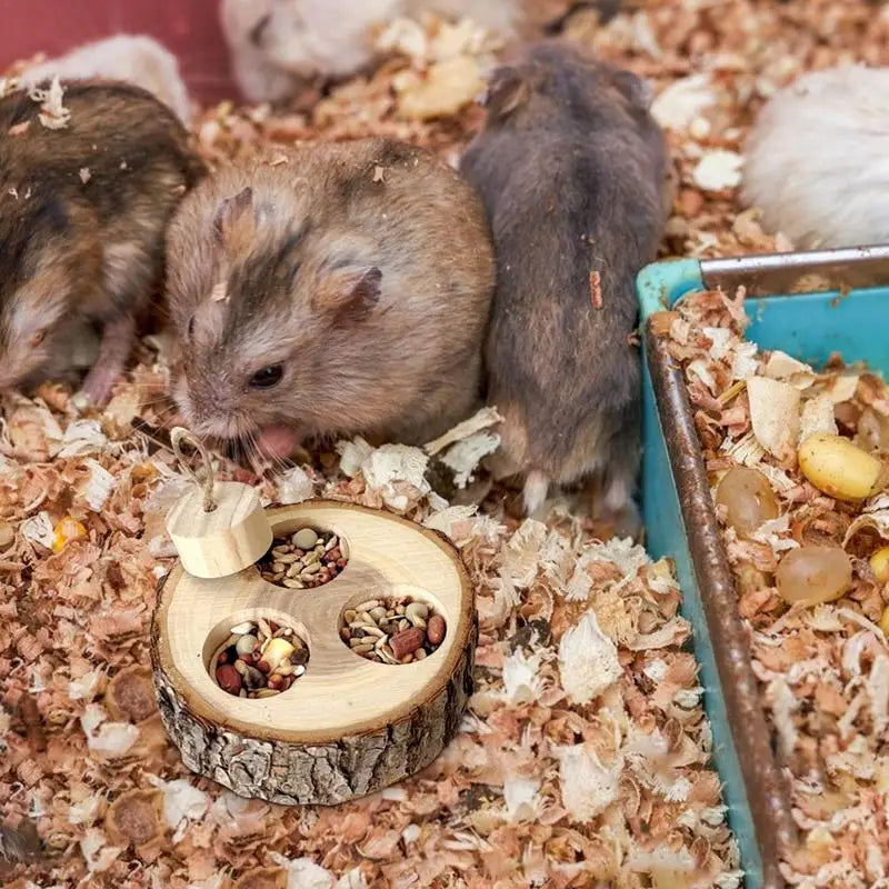 Wooden Interactive Enrichment Treat Dispenser