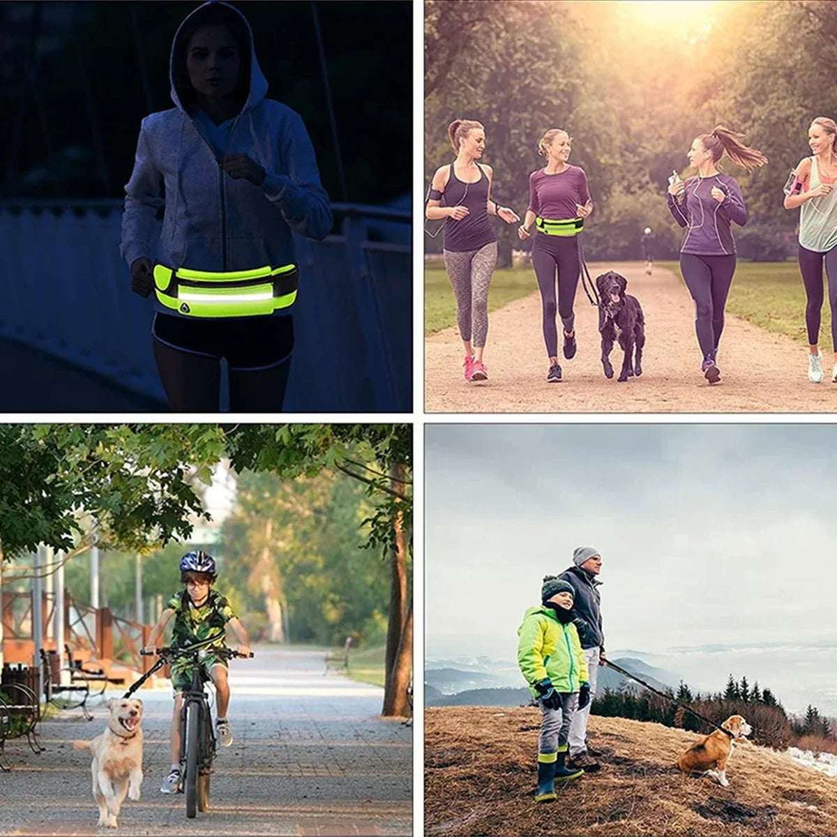 Hands Free Dog Leash for Running or Walking