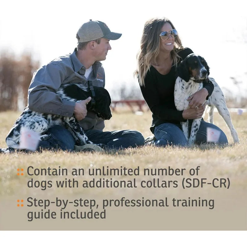 In-Ground Electric Dog Fence & Remote Trainer