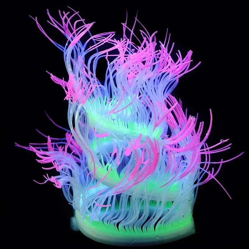 Aquarium Luminous Sea Anemone