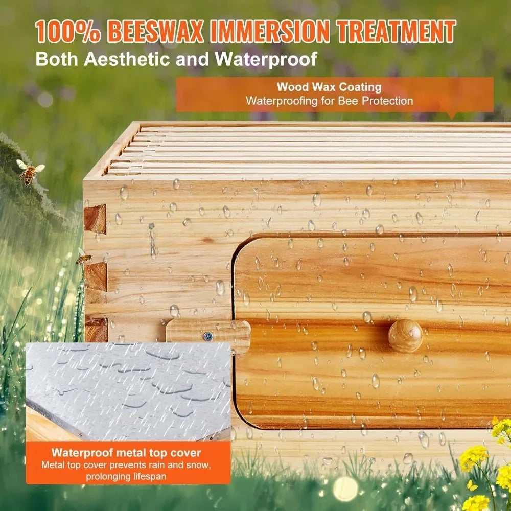 10 Frame Bee Hive