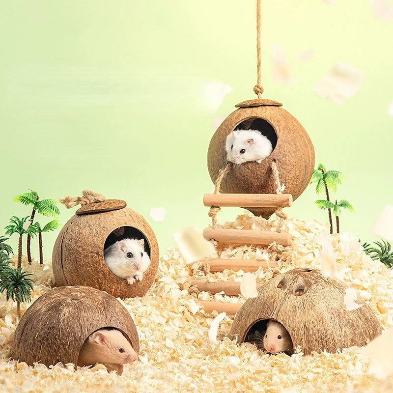 Natural Small Pet Coconut Hideout House