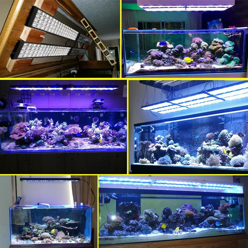 Wi-Fi Reef Aquarium Led